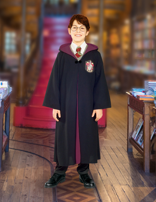 Harry Potter Costumes Harry Potter Fancy Dress