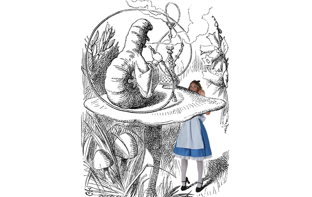 Alice in Wonderland Fancy Dress