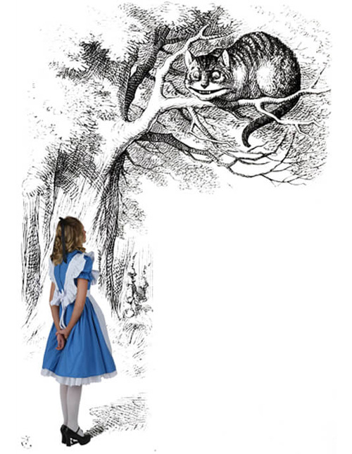 Alice in Wonderland Halloween Costumes