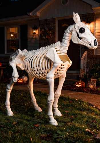 6FT Horse Skeleton Decoration