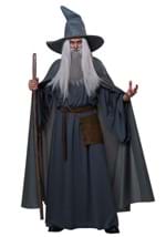 Mens Plus Size Wandering Wizard Costume