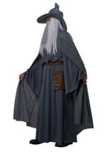 Mens Plus Size Wandering Wizard Costume Alt 3
