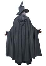 Mens Plus Size Wandering Wizard Costume Alt 2