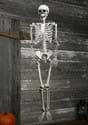 Plastic Realistic Skeleton