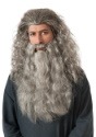 Gandalf Beard Kit	
