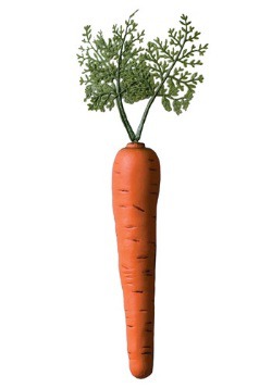 Bunny Carrot Accessory	