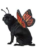 Pet Butterfly Costume