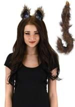 Brown Furry Cat Tail and Ears