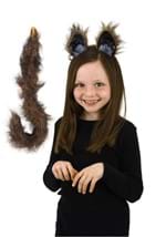 Brown Furry Cat Tail and Ears Alt 1