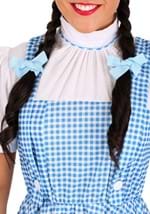 Adult Dorothy Costume Alt 2