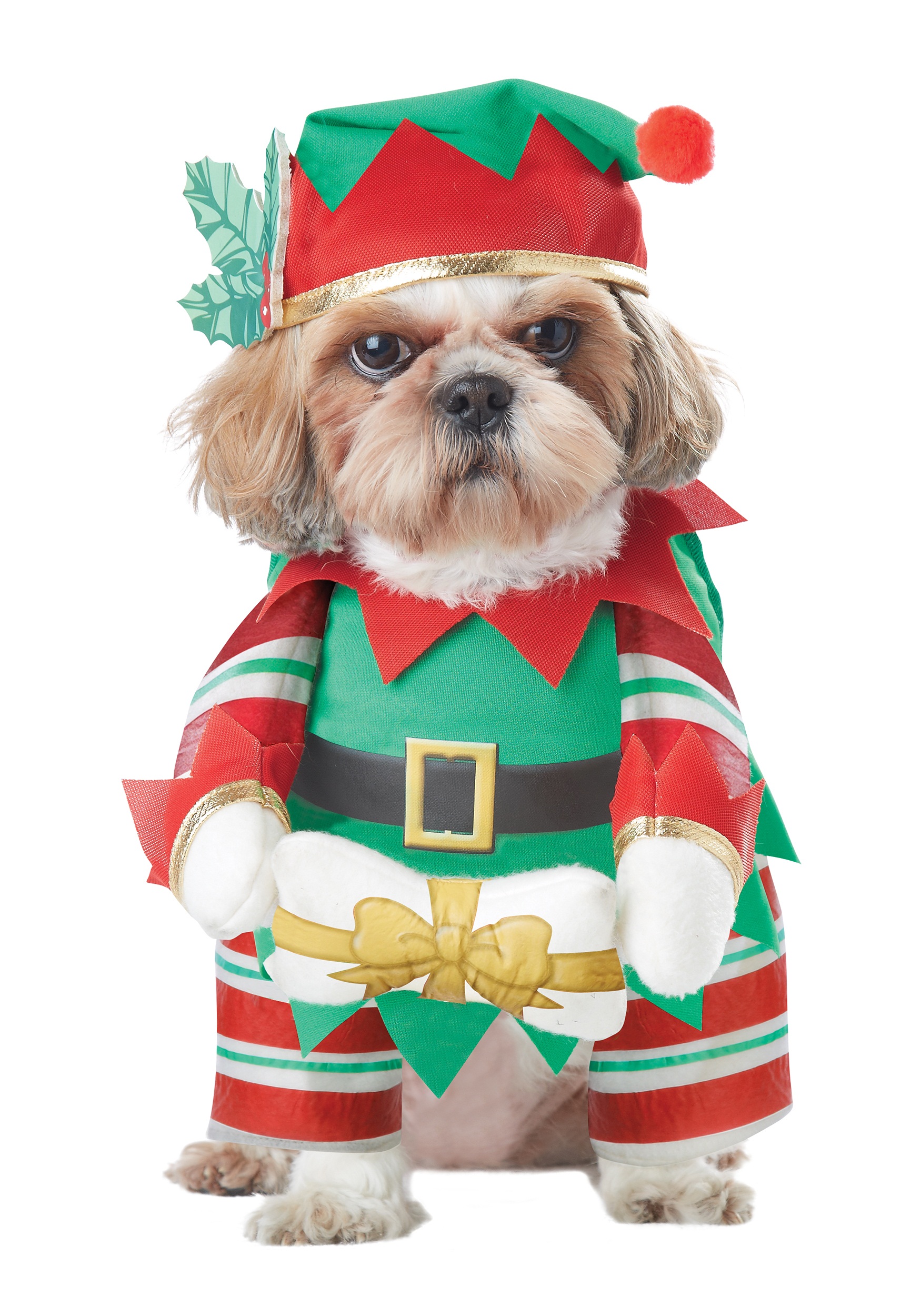 Elf Pup Dog Fancy Dress Costume
