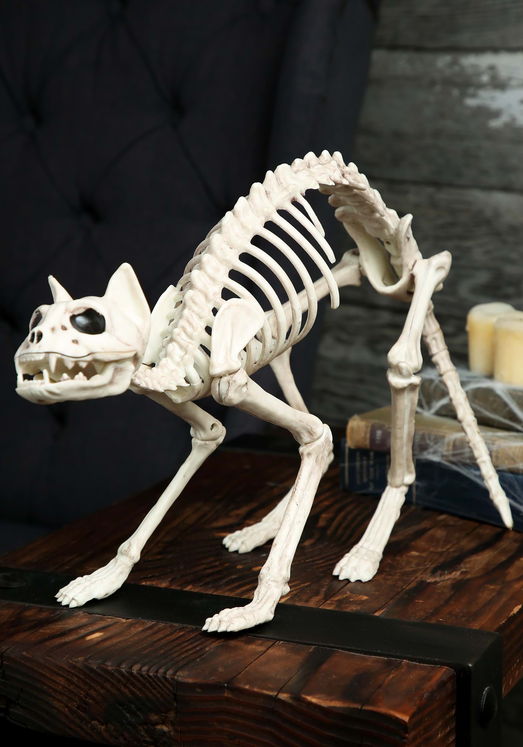 Skeleton Cat Halloween Decoration
