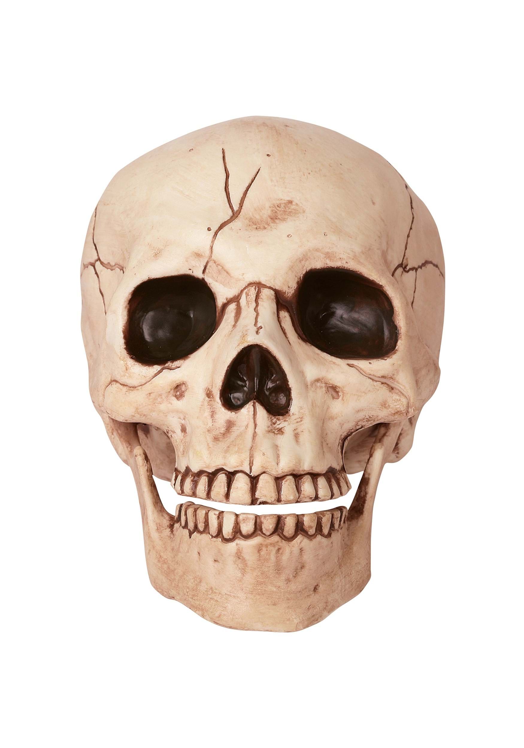 7-Inch Skull with Movable Jaw Decoration Prop | Skulls
