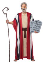 Adult Moses Costume alt 1