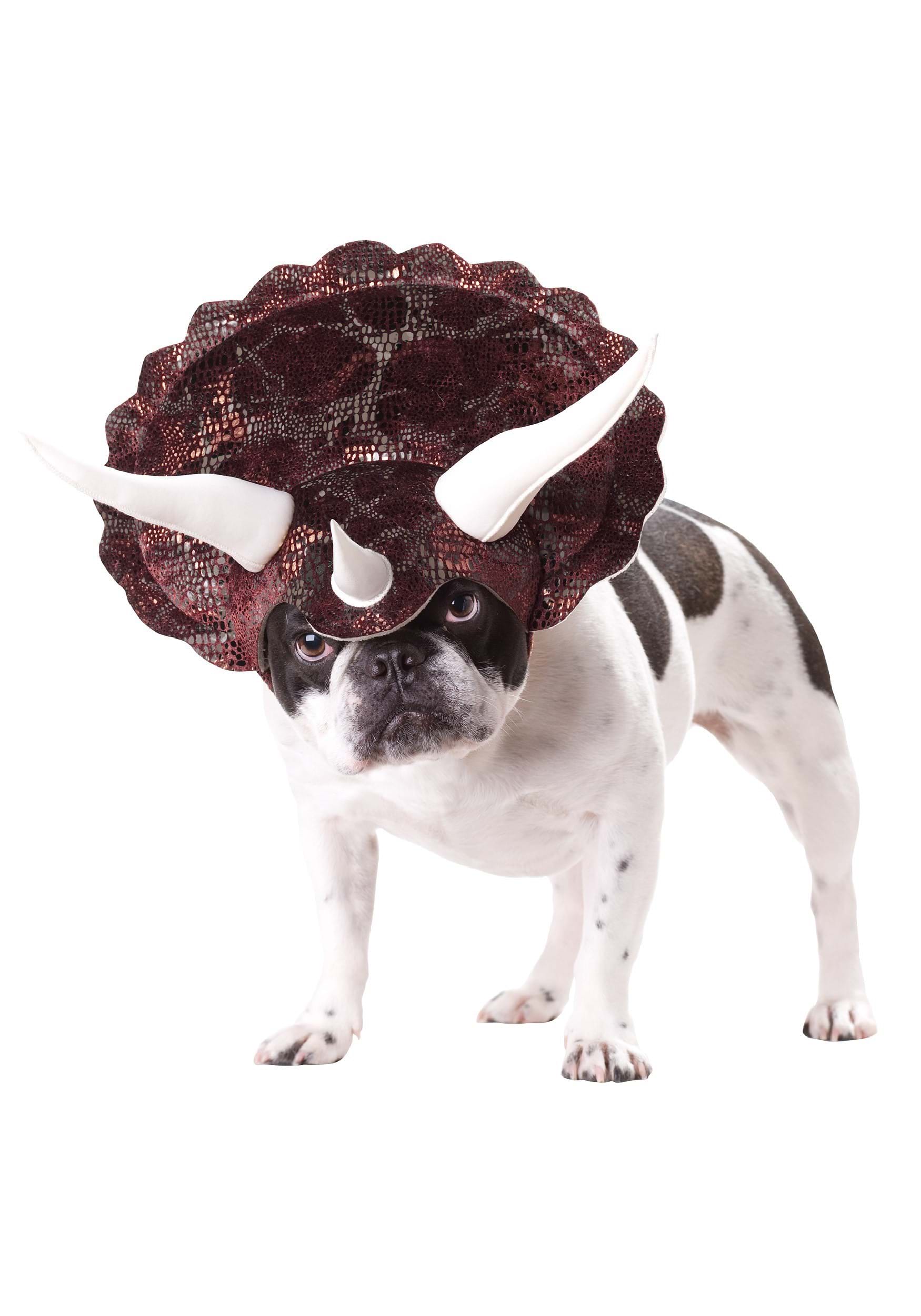 Dog Triceratops Fancy Dress Costume