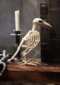 Skeleton Raven Prop