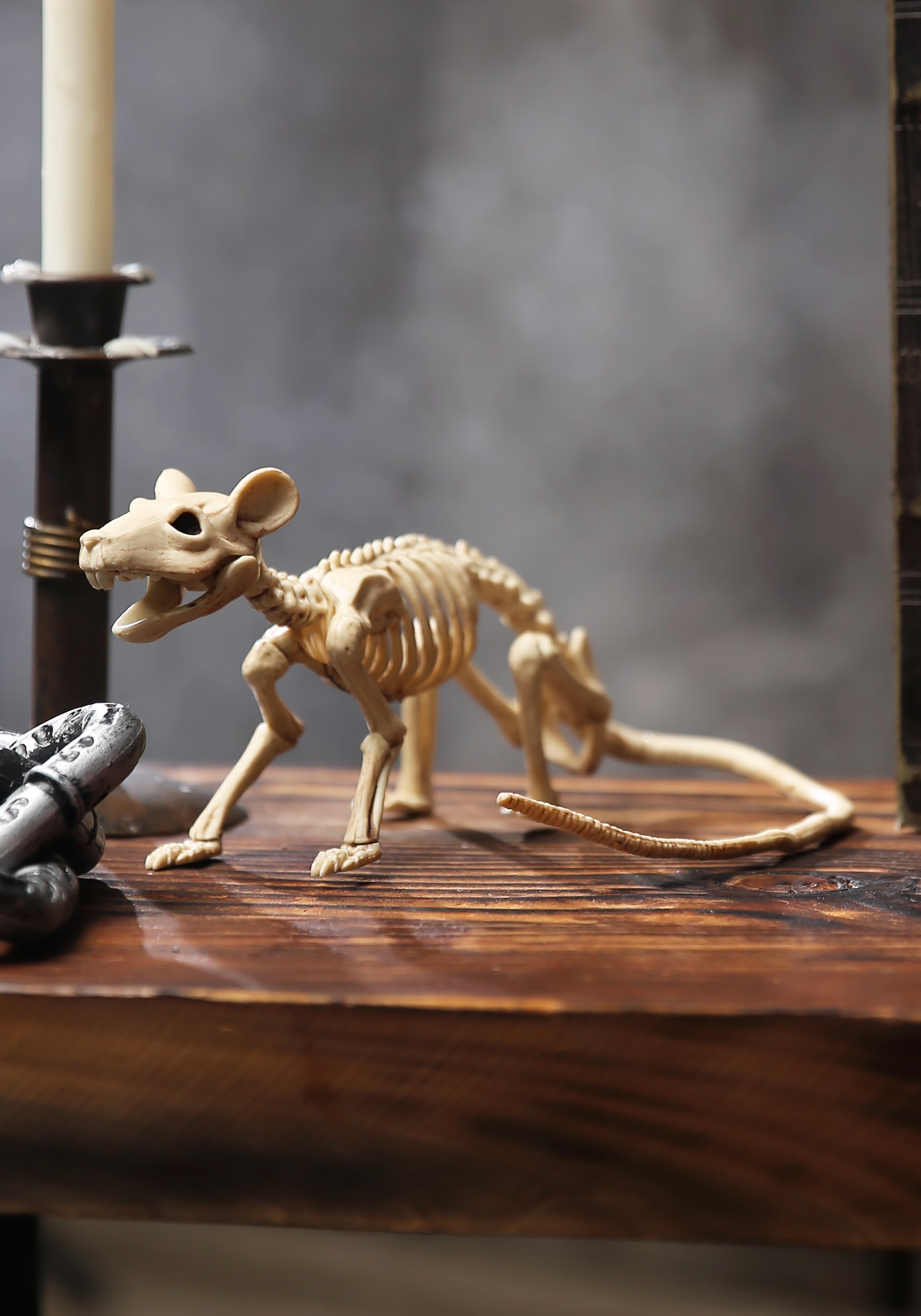 Poseable Skeleton Rat Halloween Prop , Animal Skeletons