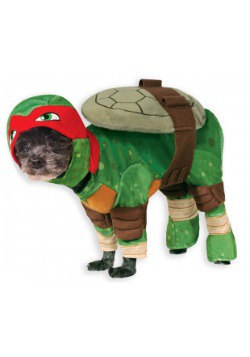 TMNT Raphael Pet Costume