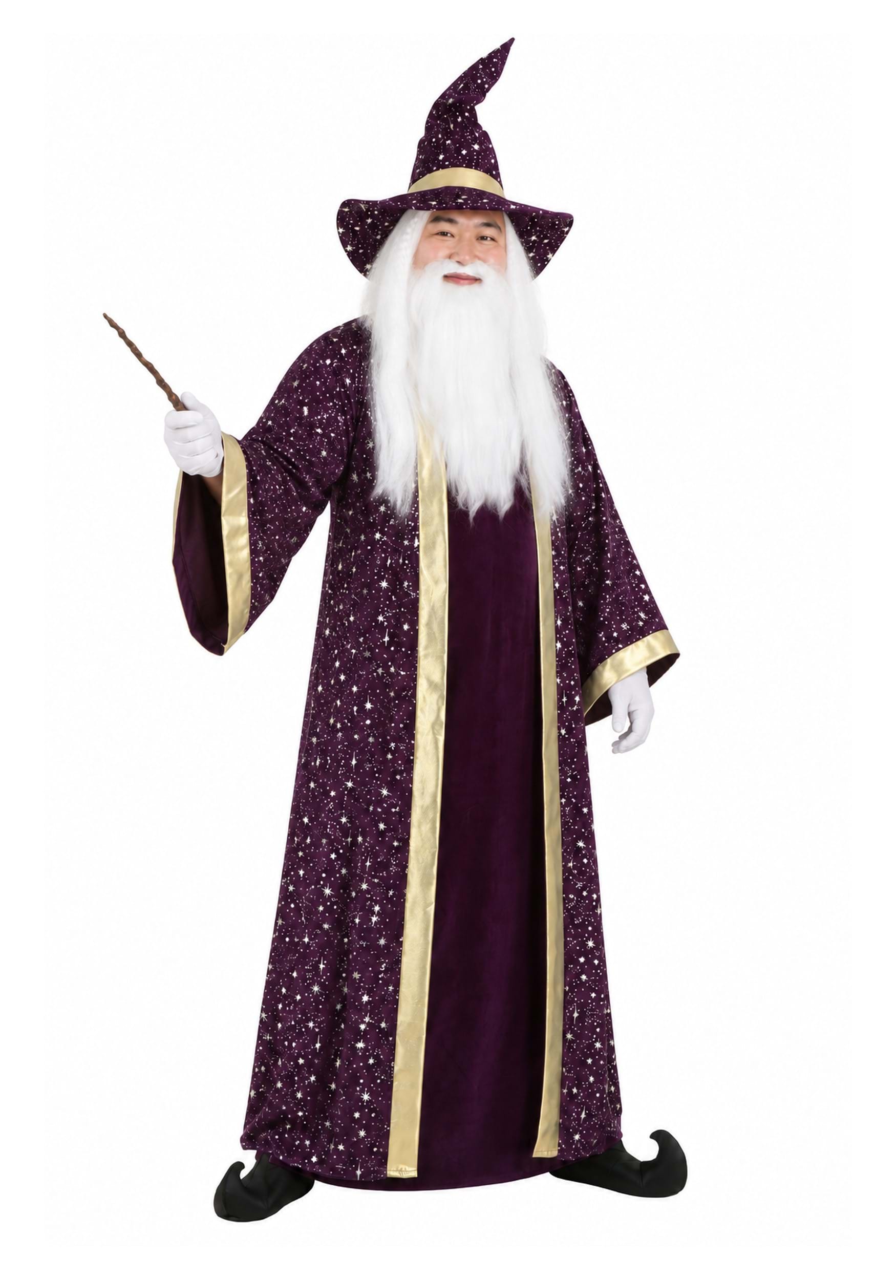Men's Plus Size Wizard Fancy Dress Costume