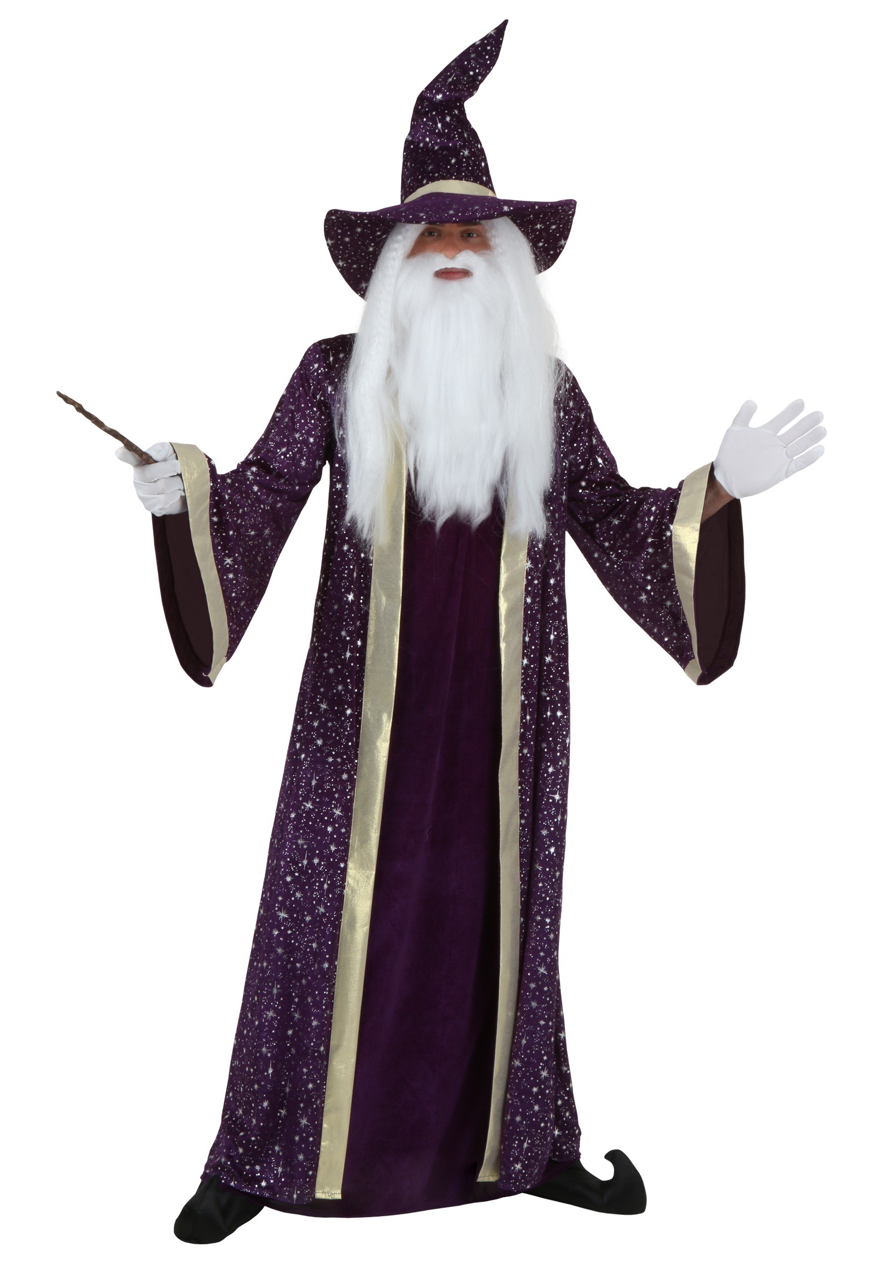 Photos - Fancy Dress Wizard FUN Costumes Plus Size   Costume Purple 