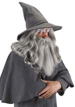 Gandalf Costume Hat