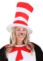 Cat in the Hat Adult Hat