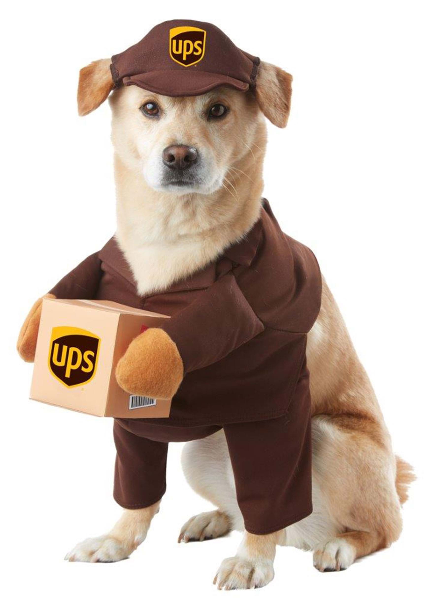 UPS Dog Fancy Dress Costume