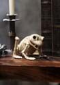 Skeleton Frog Halloween Decoration upd