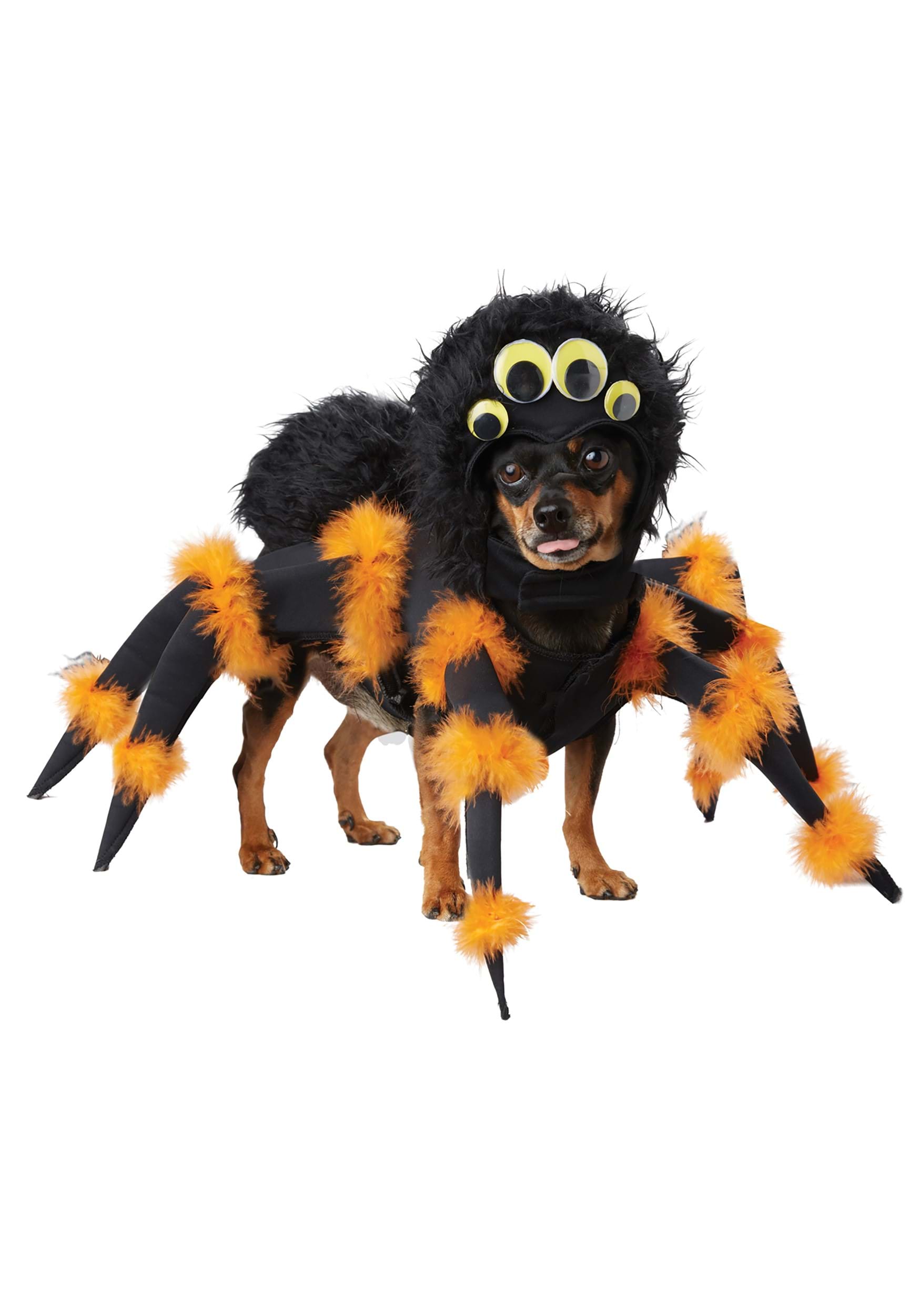 Spider Pup Fancy Dress Costume