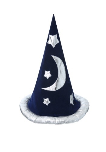 Wizard Adult Hat
