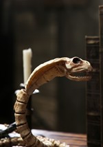 39'' Cobra Skeleton Alt 2