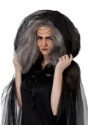 Witch/Old Lady Wig2