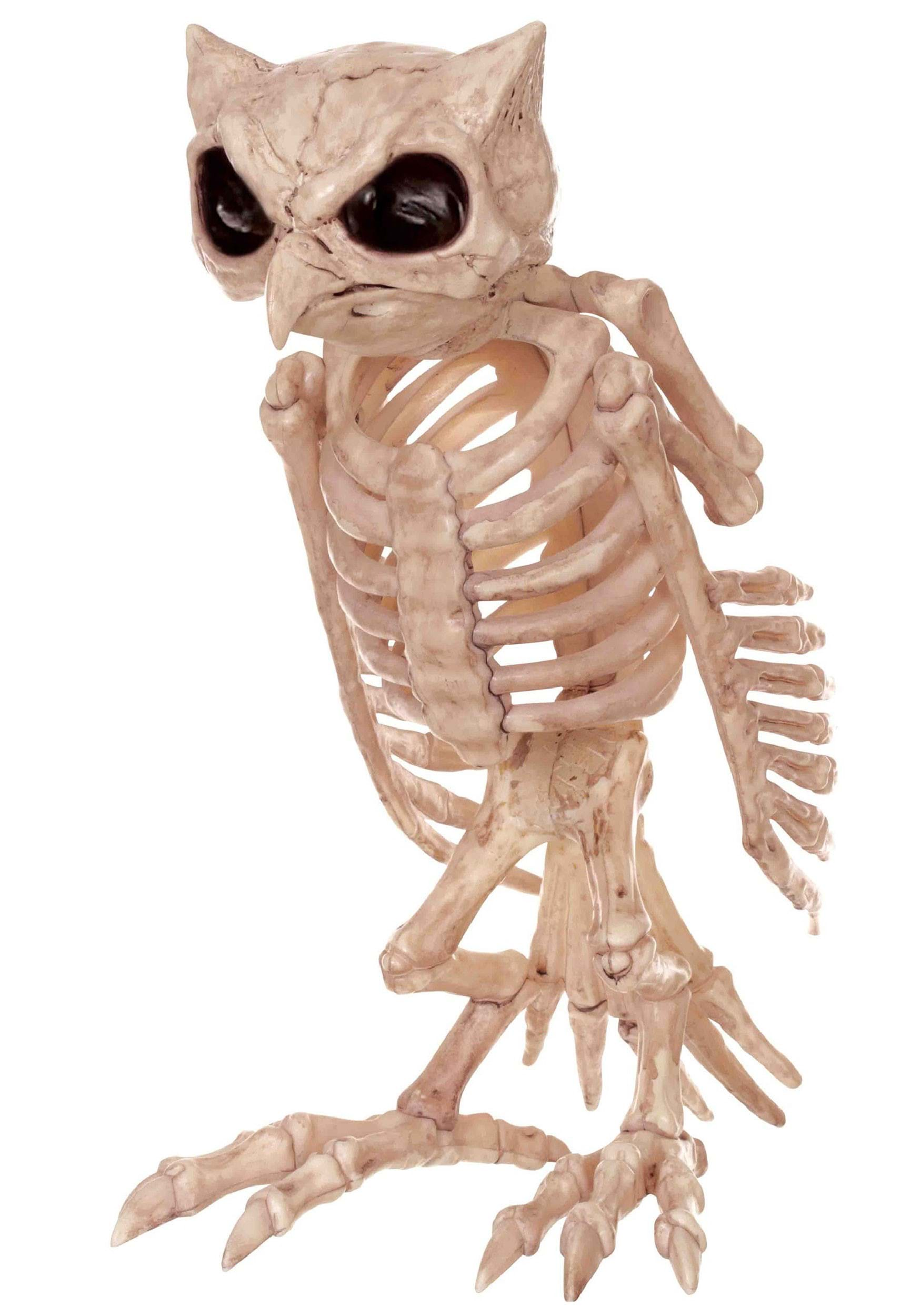 Owl Skeleton Decoration , Skeleton Decorations