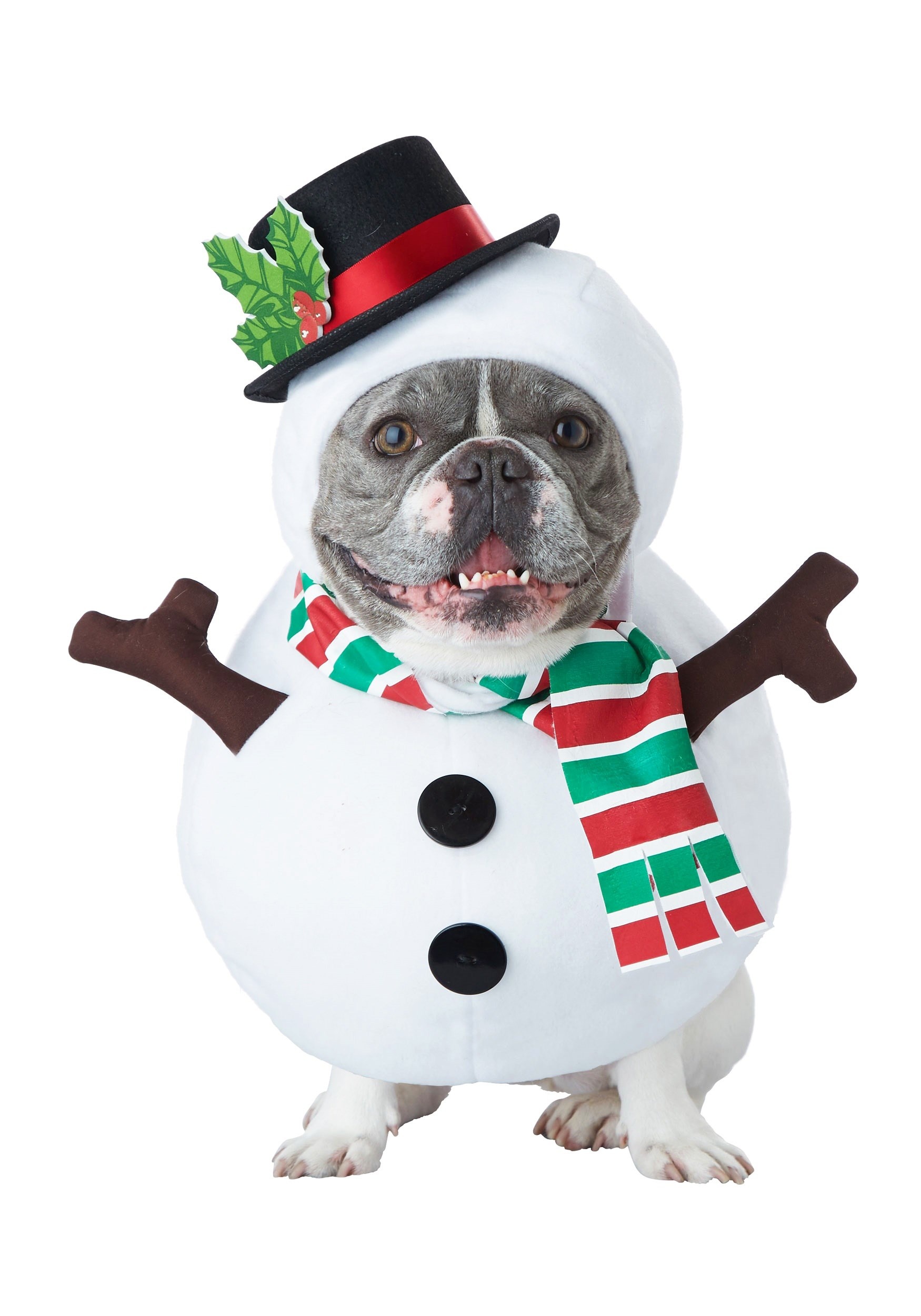 Snowman Fancy Dress Costume For A Dog