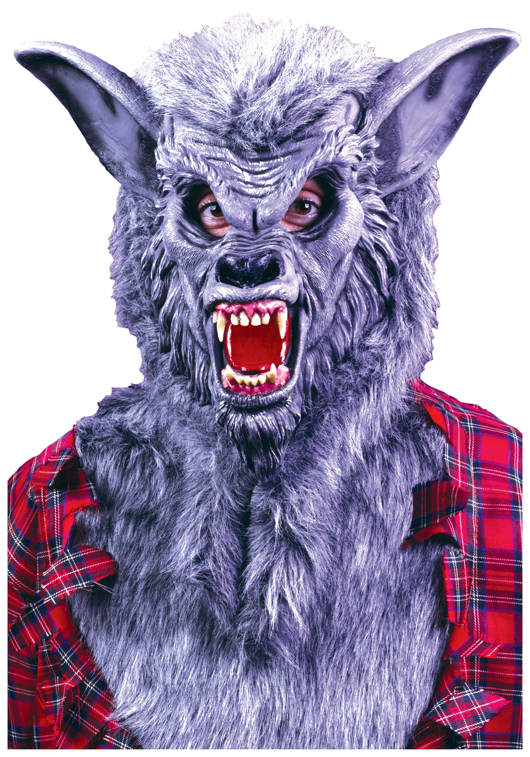 Photos - Fancy Dress Fun World Grey Werewolf Mask Gray