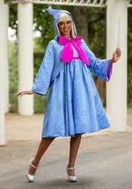 Disney Cinderella Fairy Godmother Costume For Women