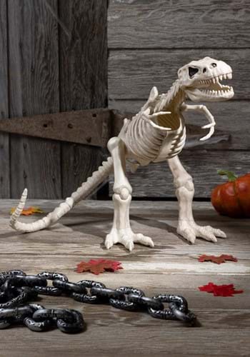 16" T-Rex Skeleton