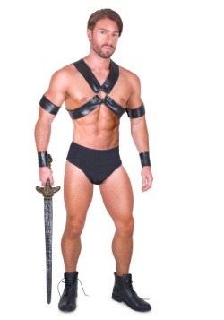 Men's Sexy Gladiator Costume
