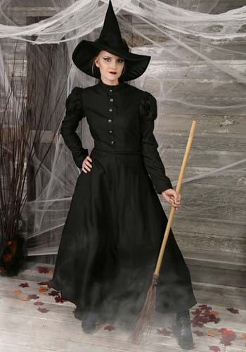 Deluxe Wicked Witch Costume