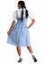 Kansas Girl Long Dress Costume