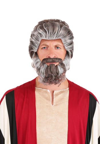 Biblical Moses Wig and Beard