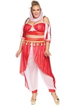 Womens Plus Dreamy Genie Costume Alt 3
