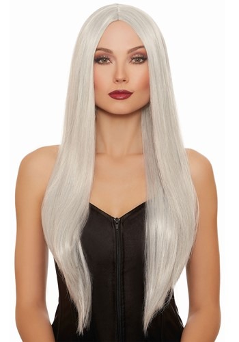 Long Straight Gray/White Mix Wig
