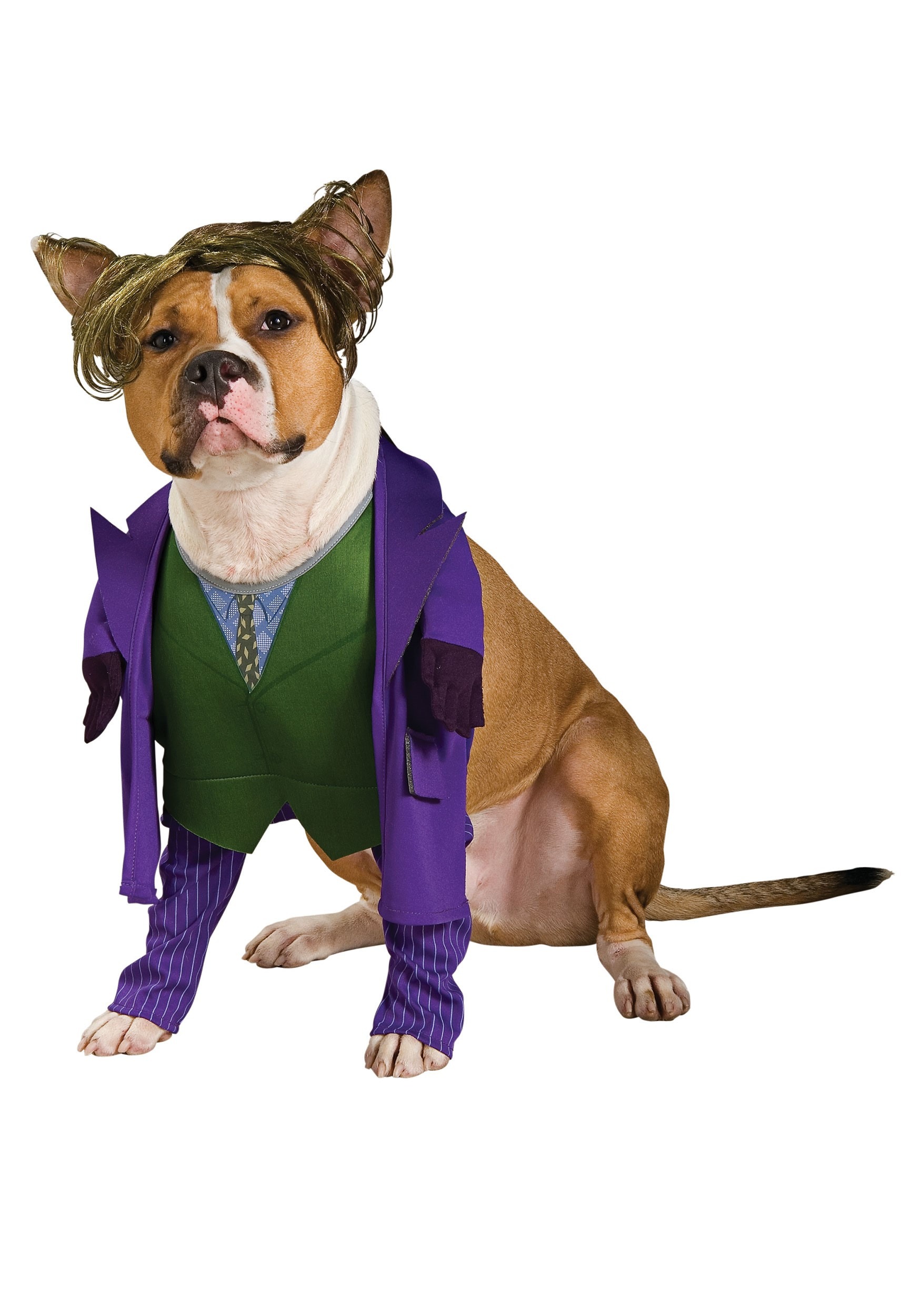 Joker Pet Fancy Dress Costume