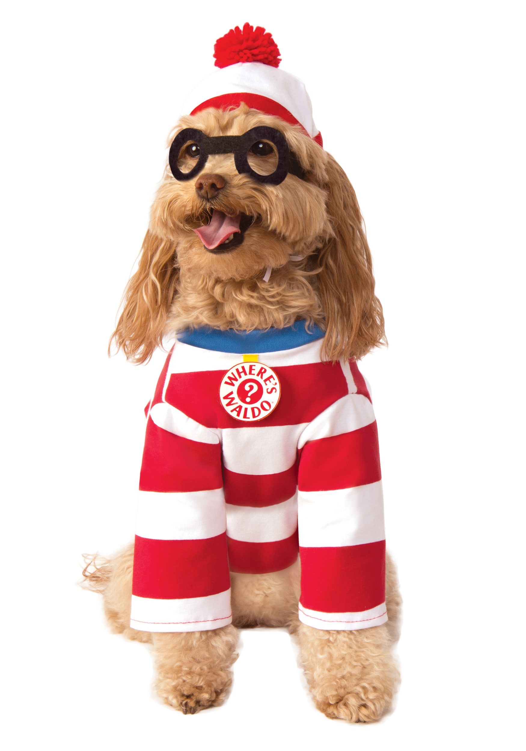 Where's Waldo Dog Fancy Dress Costume