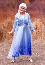 Frozen 2 Adult Elsa Wig alt1