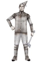 Plus Size Men's Tin Fellow Costume Main