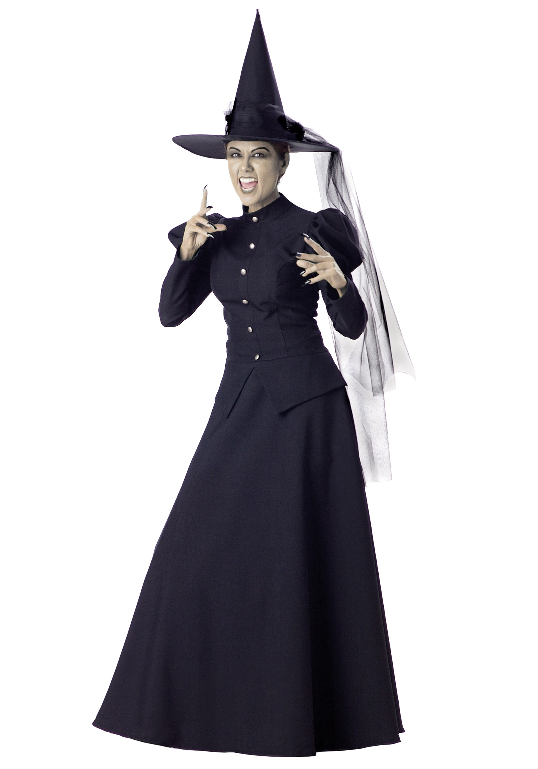 Witch Adult Fancy Dress Costume