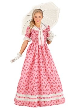Lovely Southern Belle Costume