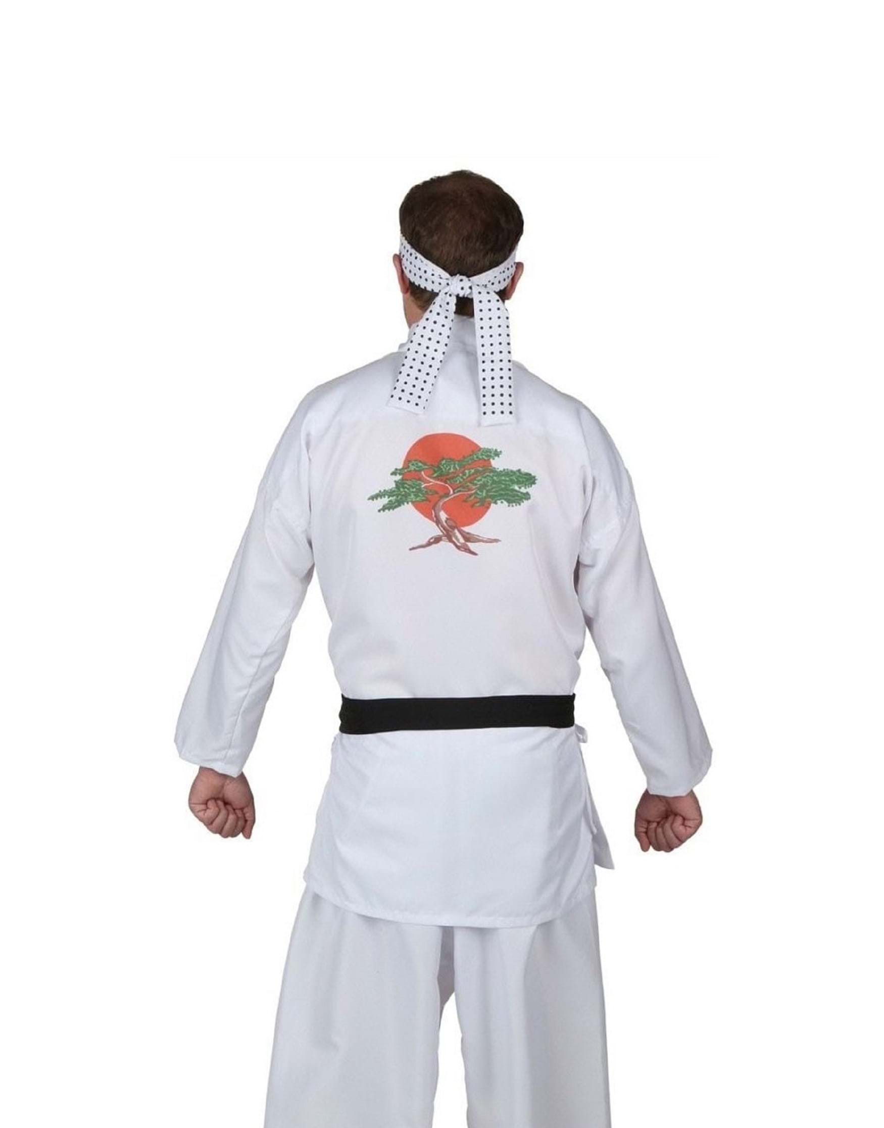 Men's Plus Size Karate Kid Daniel San Fancy Dress Costume